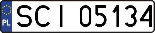SCI05134