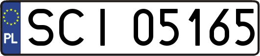 SCI05165