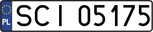 SCI05175