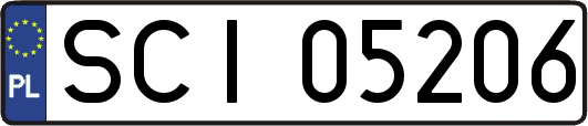 SCI05206