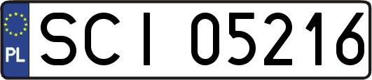 SCI05216