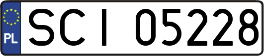 SCI05228