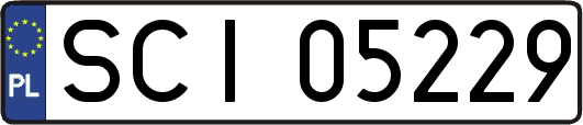 SCI05229