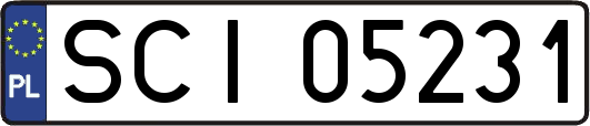 SCI05231