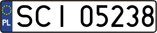 SCI05238