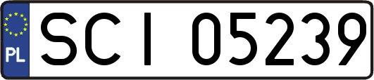 SCI05239