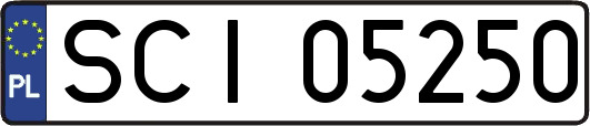 SCI05250
