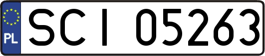 SCI05263