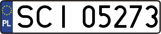SCI05273