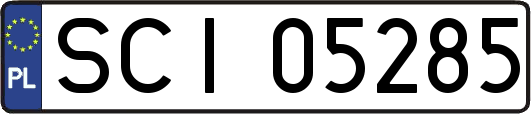 SCI05285