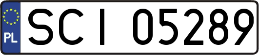 SCI05289