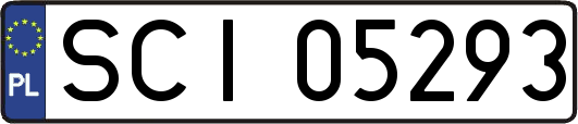 SCI05293
