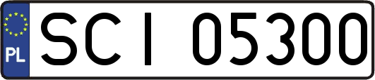SCI05300