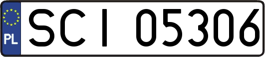 SCI05306