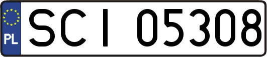 SCI05308