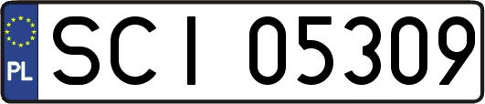 SCI05309
