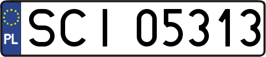 SCI05313