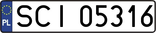 SCI05316