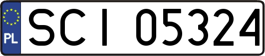 SCI05324