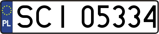 SCI05334