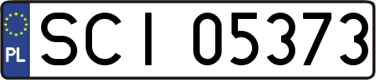 SCI05373