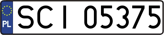SCI05375