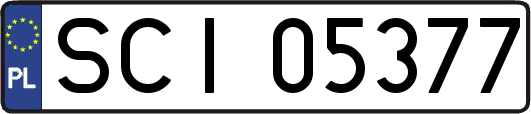 SCI05377