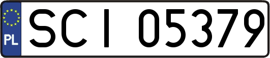 SCI05379