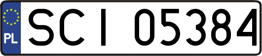 SCI05384