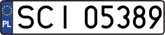 SCI05389