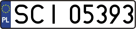 SCI05393