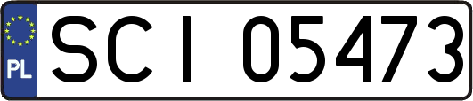 SCI05473