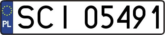 SCI05491
