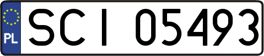 SCI05493