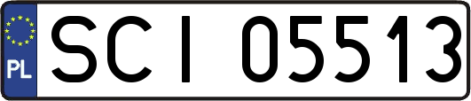 SCI05513