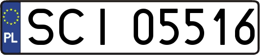 SCI05516