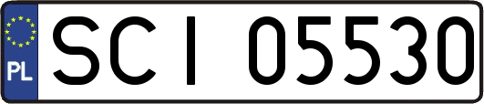 SCI05530
