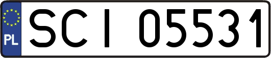 SCI05531