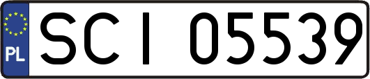 SCI05539