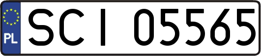 SCI05565