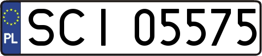 SCI05575