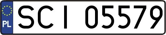SCI05579