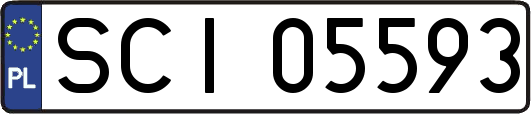 SCI05593