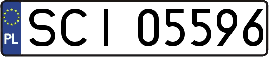 SCI05596