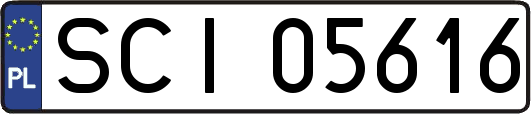 SCI05616
