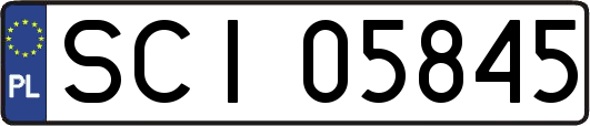 SCI05845