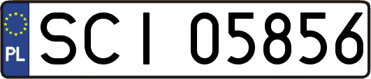 SCI05856