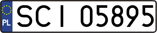 SCI05895