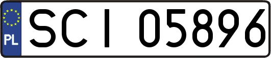 SCI05896
