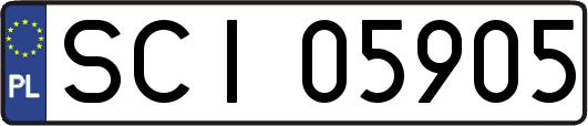 SCI05905